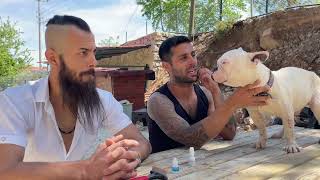 French Bulldog Rockyi Naturel Yolla Tedavi̇ Edi̇yorum Ve Yasi̇n?