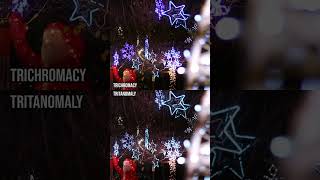 How do those with colour blindness perceive Christmas lights #Shorts #ColourBlind #ColorBlind