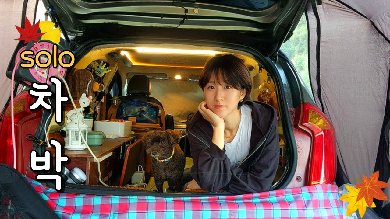 [61]경차모닝차박/13년된 소형캠핑카에서 귀여운 강아지와 함께 아늑한 하루 보내기/벨라쉘터 도킹/안성 참살이오토캠핑장