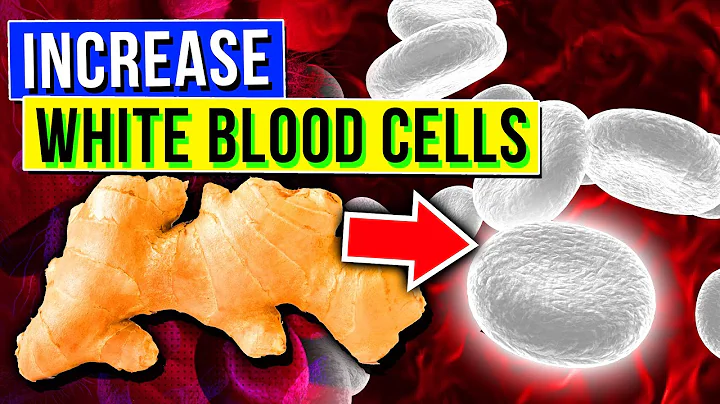 5 SUPERFOODS To Increase White Blood Cells Count & Boost Immunity - DayDayNews