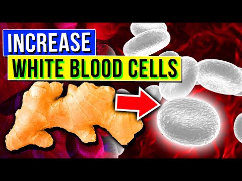 וִידֵאוֹ: 3 דרכים להגדלת תאי הדם הלבנים