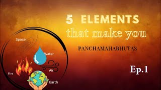 How 5 Elements Shape Your Body,Mind & Soul (Ep.1) Decode Yourself 🖊️😇✨ | MilestoneSeeker