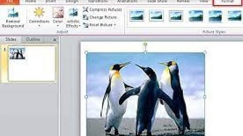 Class- 6th, Subject -Computer; Ch -6 (Formatting effects Power point 2010)