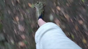 Walking in mud [quicksand]