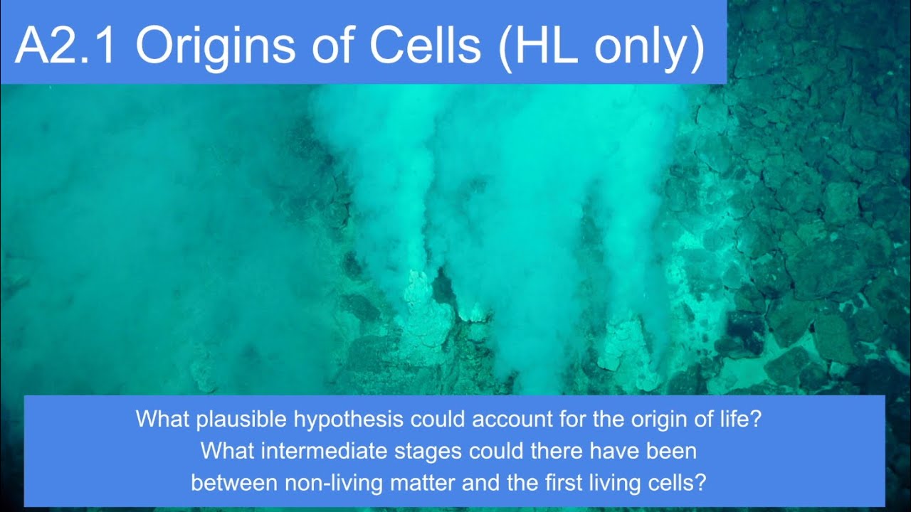 A2.1 Origins of Life -- IB Biology New Curriculum