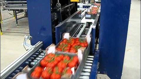 layer palletizer for cluster tomatoes , prestacker, printing