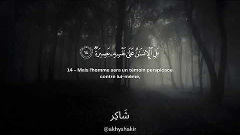 سورة القيامة .....القارئ ابراهيم شيشاني