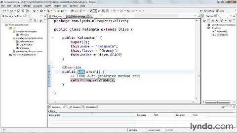 10. Working with Inheritance and Polymorphism - 03  Overriding superclass methods