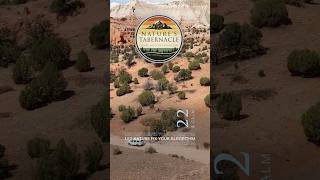 Kodachrome S23: 22 Peaceful Seconds  #travel #naturetranquility #nature screenshot 4