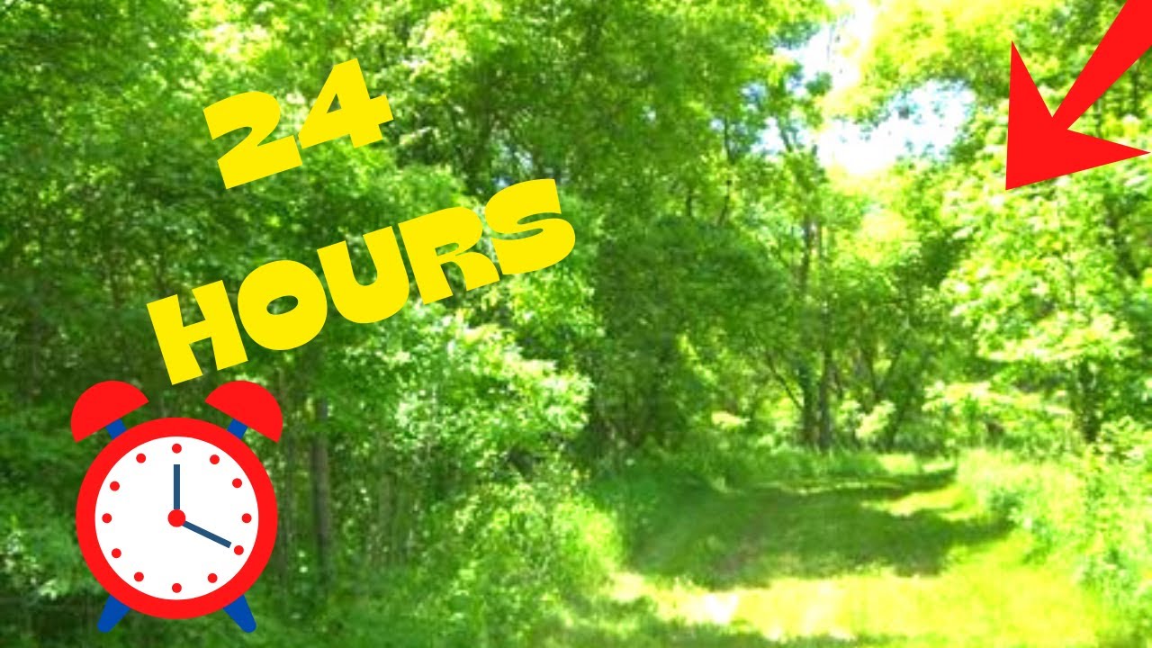 Trying to spend 24 hours in the WOODS - YouTube