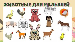 животные для малышей Учим животных  мультики про животных.
