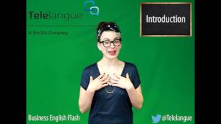 Mini Lesson 2 : Key phrases for a presentation
