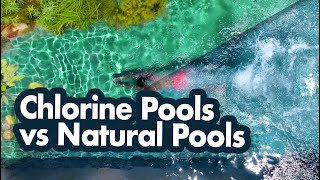 6 Reasons why Natural Pools are Better than Chlorine Pools