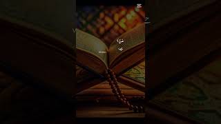 unfrezzmyaccoun allahhuakbarallahhuakbar haveitoldyoulatelythatiloveyou duet