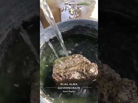 سقيا للطيور