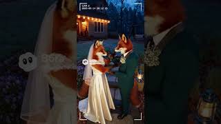 Two Red Foxes Get Married | Adorable Wedding Ceremony Outside the House #viral #viralvideo #short screenshot 1