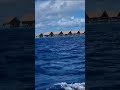 Maldivesjourney #maldives