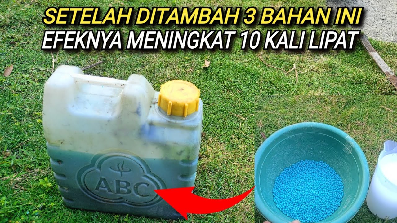 NPK || Tambahkan 3 Bahan ini, Efeknya 10 kali Lipat #bioaktifator