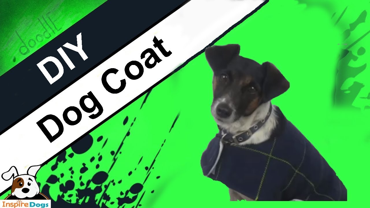 Best Way to Make DIY Dog Coat Without Fail (Step by Step) YouTube