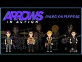 Arrows in Action - Sound In The Signals Interview 