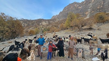 Unbelievable Nomad Mountain Life — Goat Herding, Firewood Gathering & Ancient Tribal BBQ!
