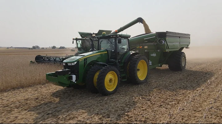 Day One Soybean Harvest 2020