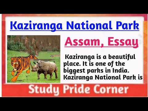 kaziranga national park essay in english 1000 words