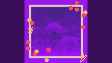 Pulsating Backdrops for Dog Naptime