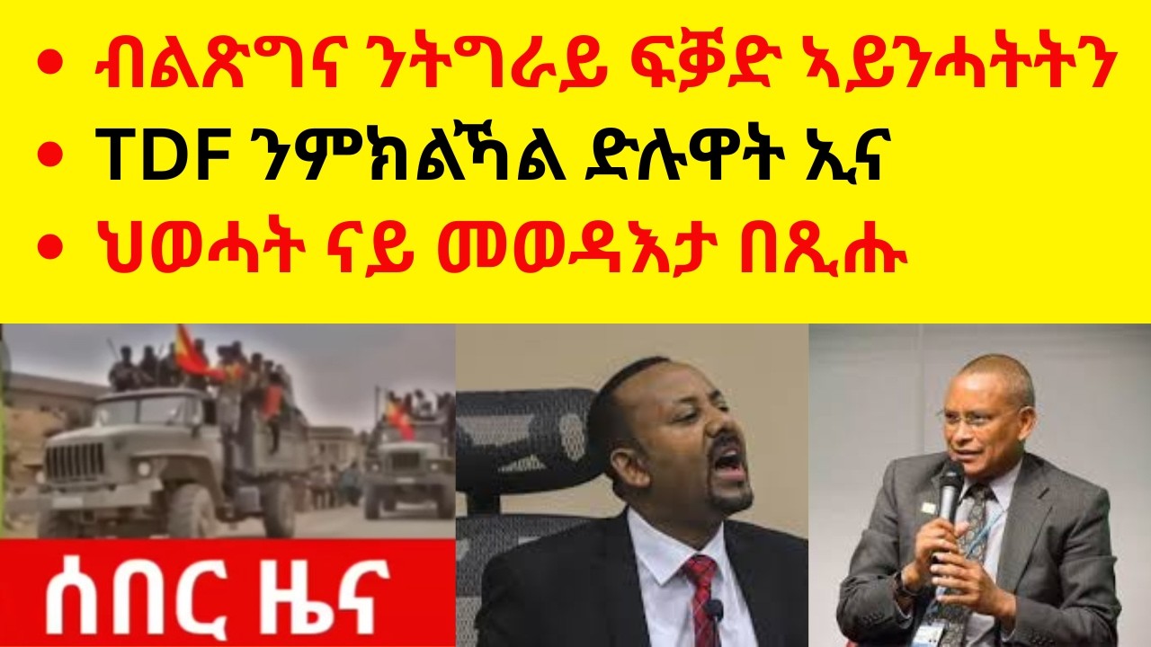 ብልጽግና ንትግራይ ፍቓድ ኣይንሓትትን  //  TDF ንምክልኻል ድሉዋት ኢና  //  ህወሓት ናይ መወዳእታ በጺሑ