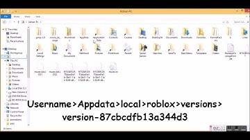 How to fix missing SDL2.dll file [roblox]