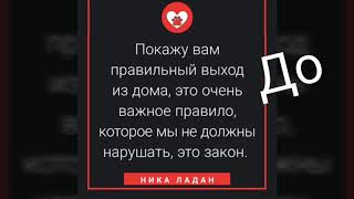 Метис алабая щенок, как правильно выходить из дома важное правило. Ника Ладан Метис алабая щенок, как правильно выходить из дома важное правило. Ника Ладан