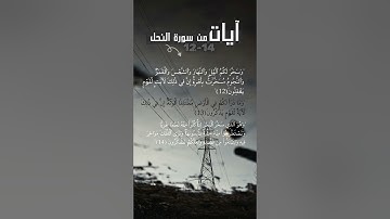 ايات من سورة النحل 12 - 14