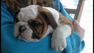 Meet Baby Buster