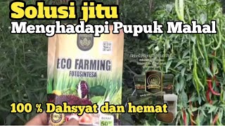 *Cara pakai pupuk organik ecofarming || manfaar Pupuk organik Eco Farming