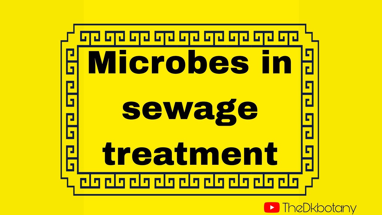 Microbes in sewage treatment 
