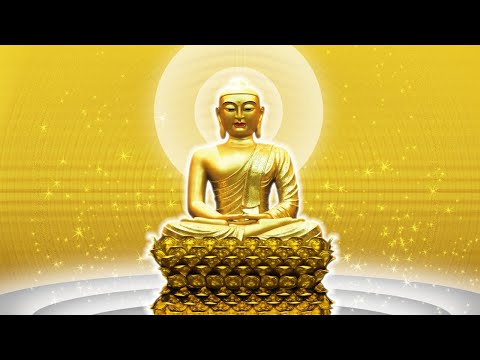 🛑TRỰC TIẾP: "Năm pháp quán của Bồ-tát Quán Thế Âm trong Kinh Pháp Hoa" - TT. Nhật Từ giảng