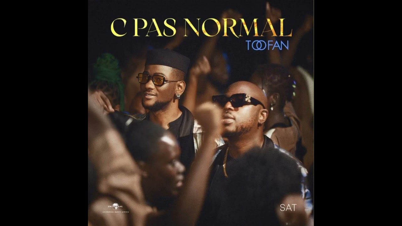 Toofan   Cest Pas Normal Official Instrumental