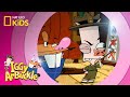 Iggy's Mystery Adventure Questions