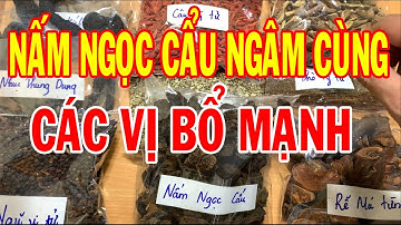 Nấm ngọc cẩu có tác dụng gì - Nấm ngọc cẩu ngâm rượu - Cách ngâm rượu nấm ngọc cẩu
