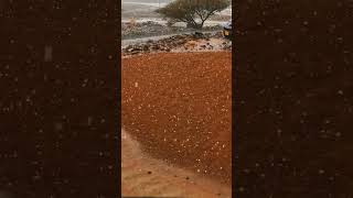 Flooding Rain Oman Today