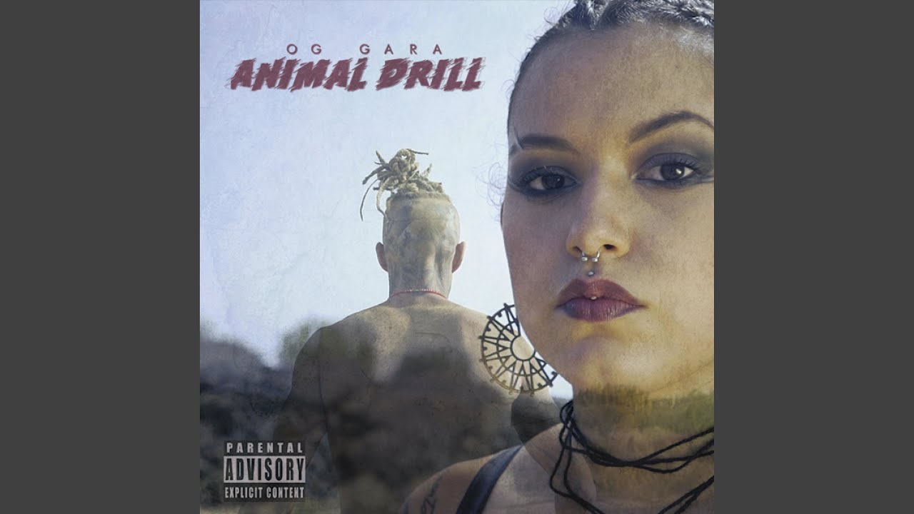 Animal Drill YouTube Music