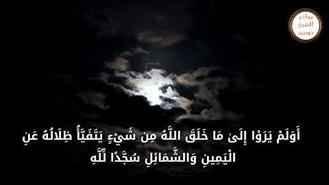 حالة واتساب .. ايات من سورة الحجر .. شيخ نورين رحمه الله