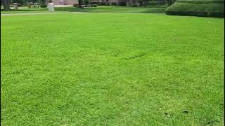 Best Husqvarna 970471745 Automower 415X Robotic Lawn Mower with GPS Assisted Navigation Review