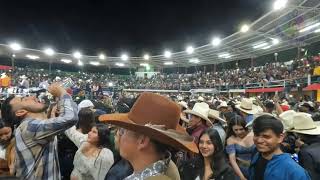 ¡¡LLUVIA DE CERVESA!! ALAMEÑOS DE LA SIERRA -EL SINALOENSE  -COPANDARO DE GALEANA MICHOACAN 2023