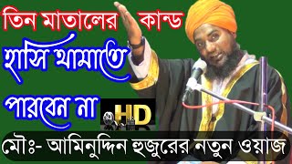 Happy New Year এর কান্ড শুনেন || বক্তা- মাওলানা আমিনুদ্দিন রেজভী সাহেব হাসনাবাদ | Aminuddin Waz 2021