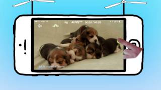 Getting Started on Kord - Part 1 - Recording screenshot 3