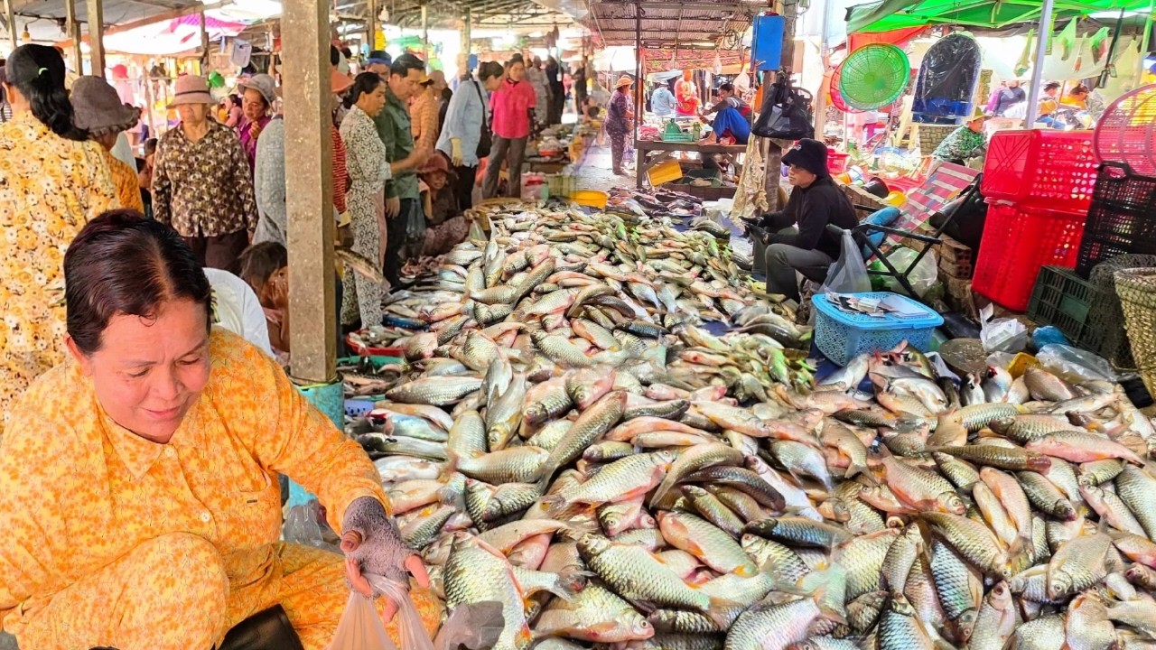 ផ្សារពន្លៃ ចូលរនោចសម្បូរសុទ្ធតែត្រីឆ្ពិន... || TAT SOKKΕΑ - ΚΗ [Ep. 1170]