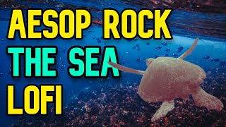 Aesop Rock but its lofi - The Sea