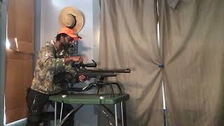 177vs.22 Gamo Arrow/Rant