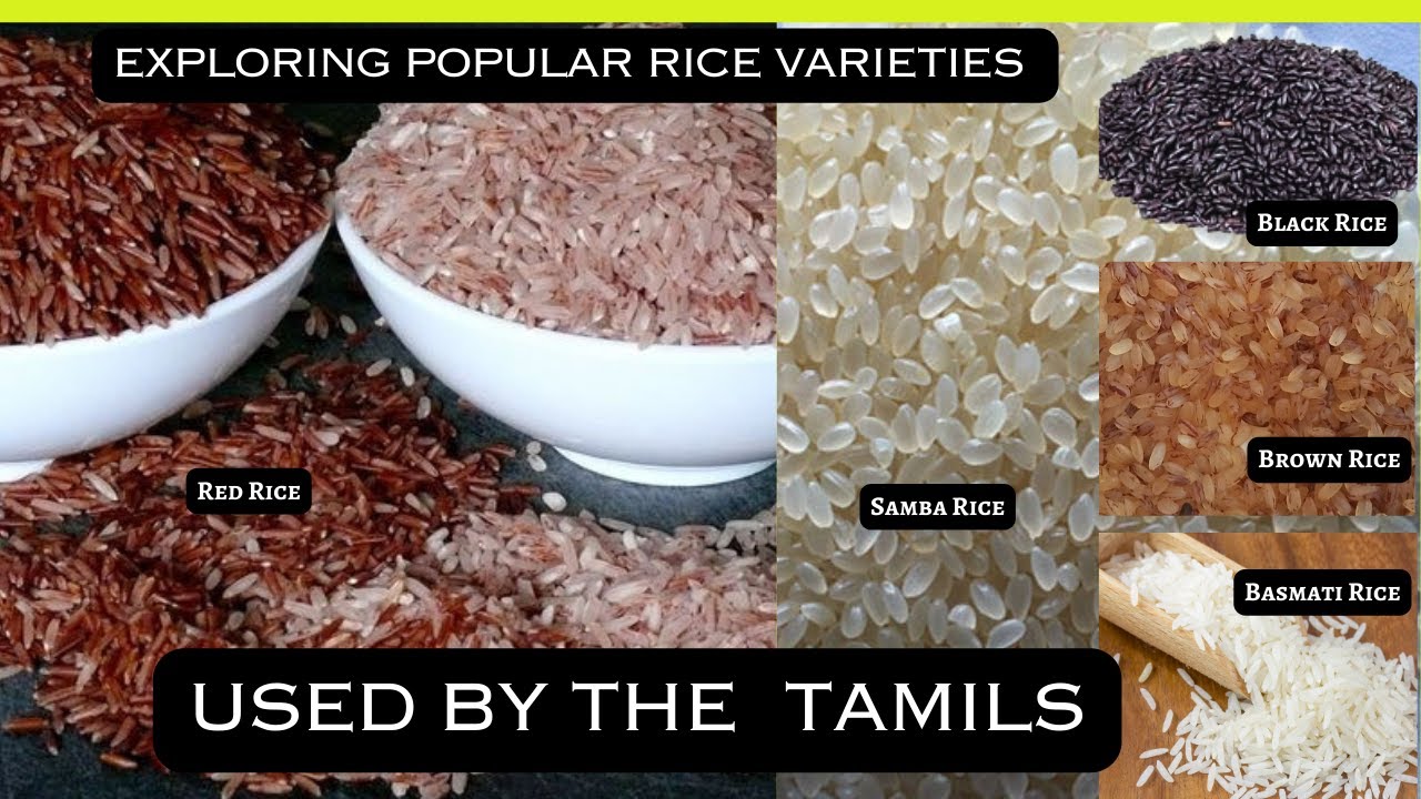 Tamil Sample Rice Why Tamils Use Different Rice Varieties in Their Cuisine - YouTube